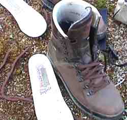 Meindlin Tunturisusi